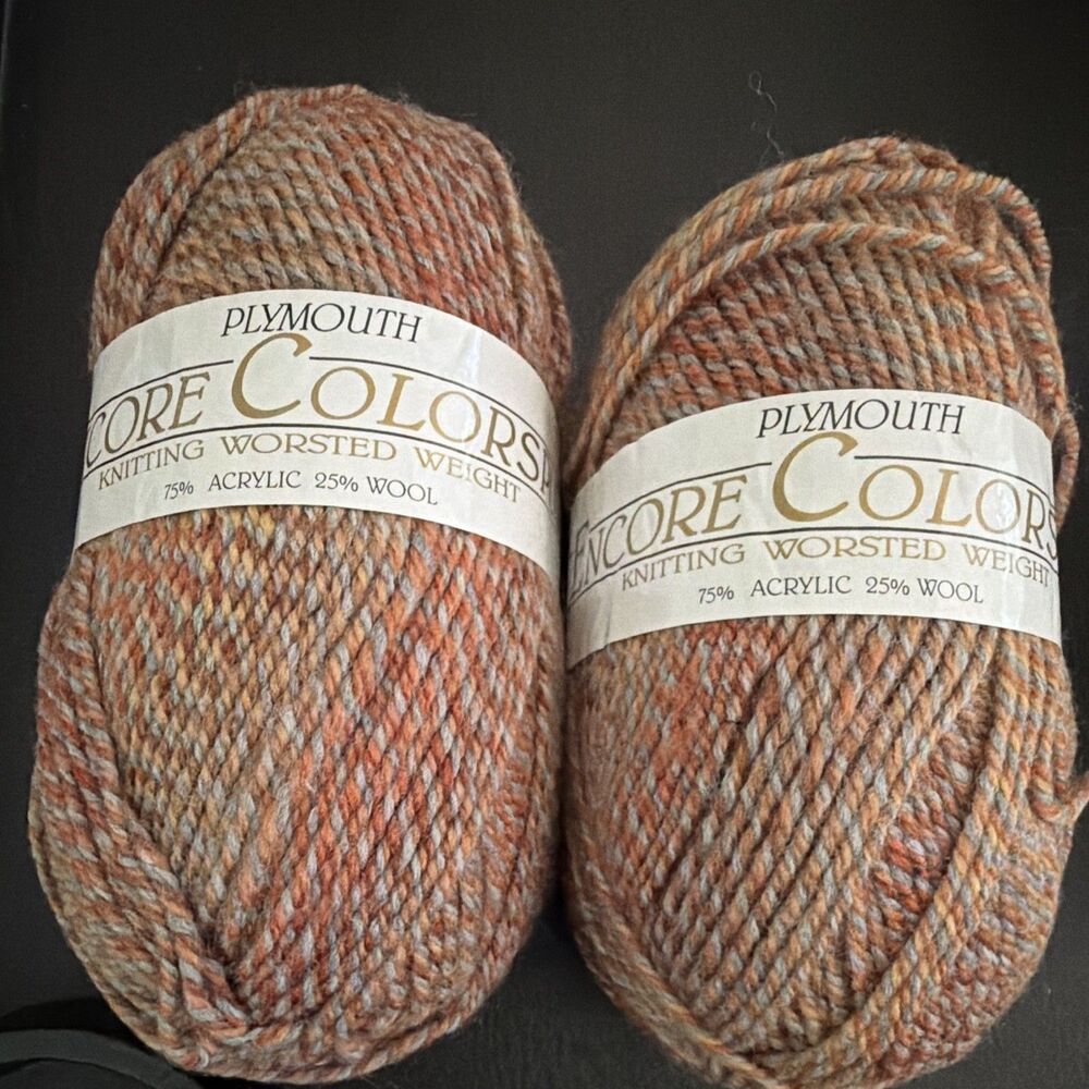 Plymouth Encore Colorspun Worsted Yarn Lot 2 Skeins Acrylic/Wool Multicolor